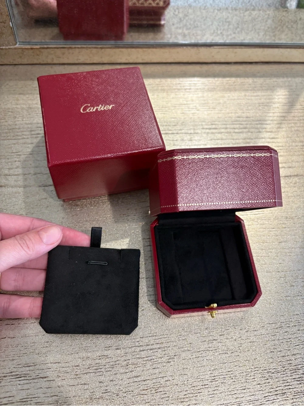 Cartier perfect clean